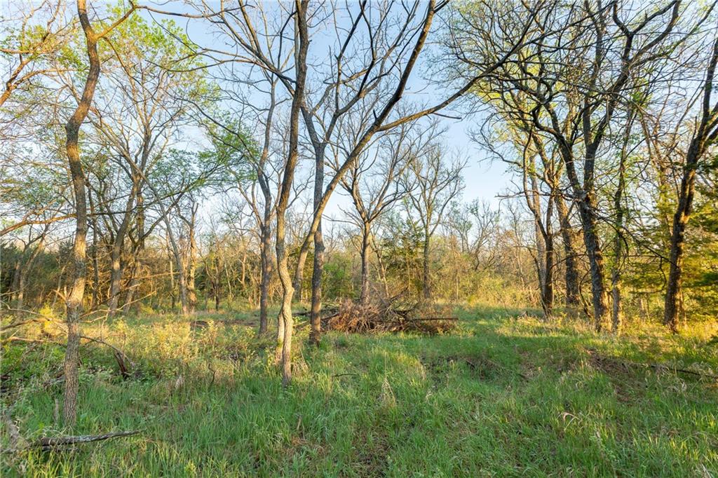 0 East 600 Road Lecompton, KS 66050 - Photo 33 of 75