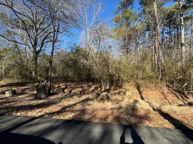 437 Hall Burton Road Sumiton, AL 35148 - Photo 3 of 6 IMG_8934