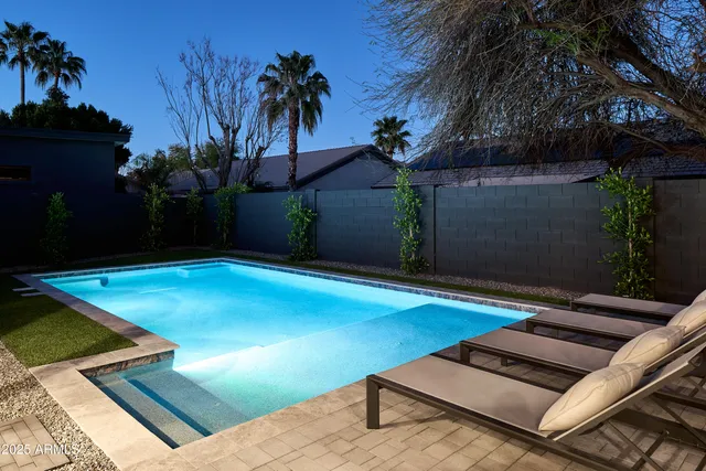 a view of a backyard with plants and palm tree