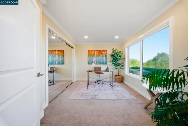 a living room with furniture potted plant and a window