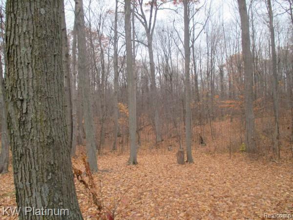 5010 Vincent Road North Street, MI 48049 - Photo 15 of 29 5010 Vincent Rd (1) - Copy.jpg