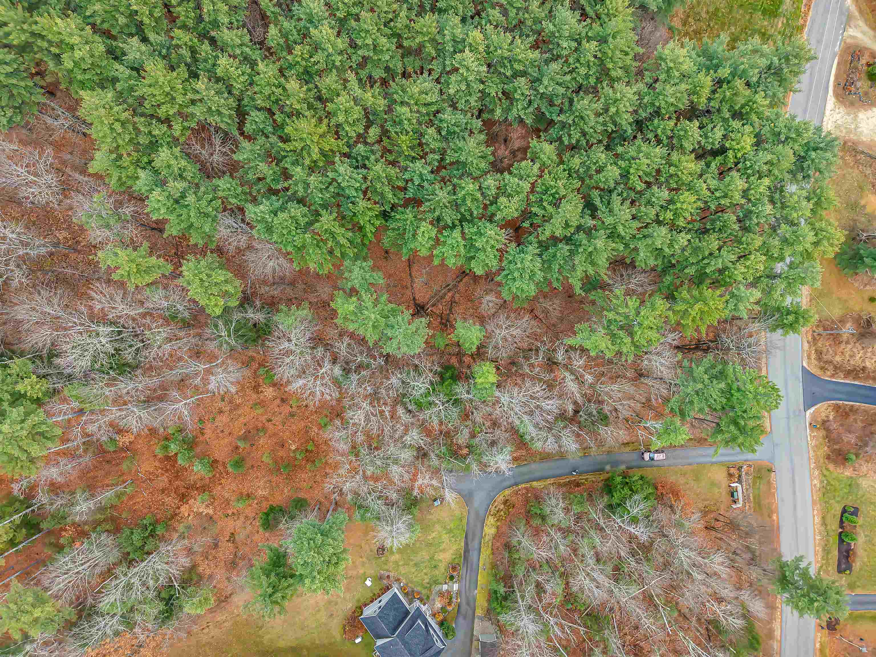 7 Dow Road, Unit 7 Mont Vernon, NH 03057 - Photo 20 of 21