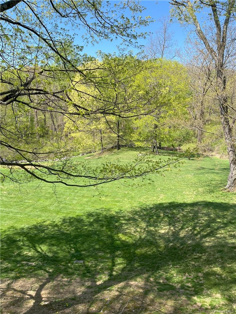 703 Croton Lake Road Mount Kisco, NY 10549 - Photo 13 of 16 Back yard