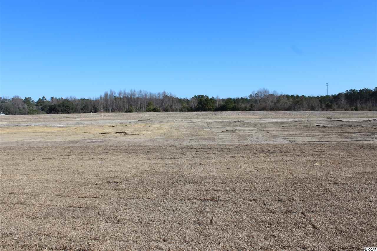 340 Allsbrook Road Loris, SC 29569 - Photo 21 of 32 Gallery Image 21