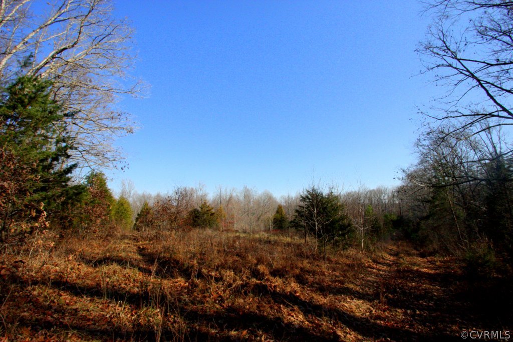 0 Rigsby Hollow Road Sandy Hook, VA 23153 - Photo 1 of 14 Gallery Image 1