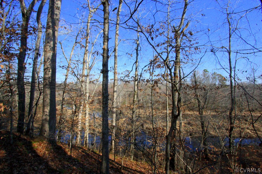 0 Rigsby Hollow Road Sandy Hook, VA 23153 - Photo 11 of 14 Gallery Image 11