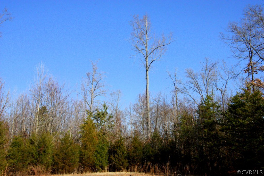 0 Rigsby Hollow Road Sandy Hook, VA 23153 - Photo 12 of 14 Gallery Image 12