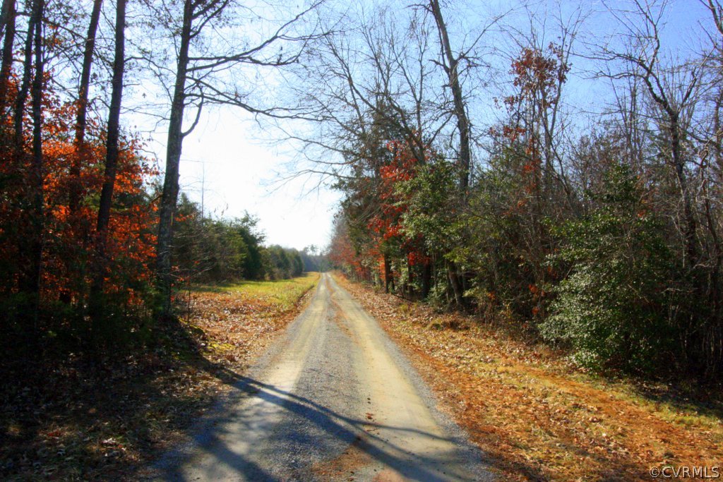 0 Rigsby Hollow Road Sandy Hook, VA 23153 - Photo 14 of 14 Gallery Image 14