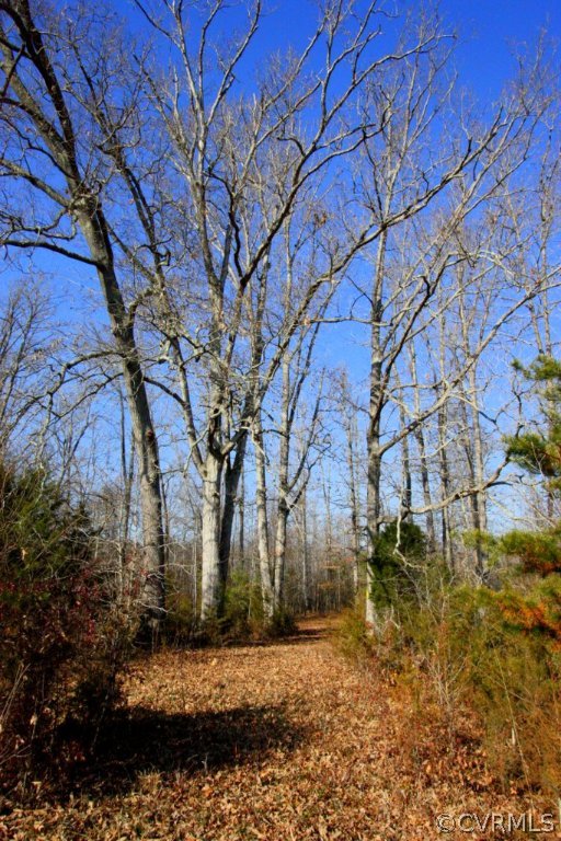 0 Rigsby Hollow Road Sandy Hook, VA 23153 - Photo 2 of 14 Gallery Image 2