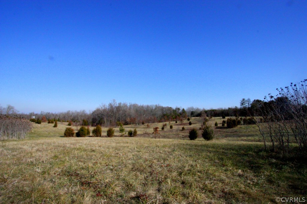 0 Rigsby Hollow Road Sandy Hook, VA 23153 - Photo 3 of 14 Gallery Image 3