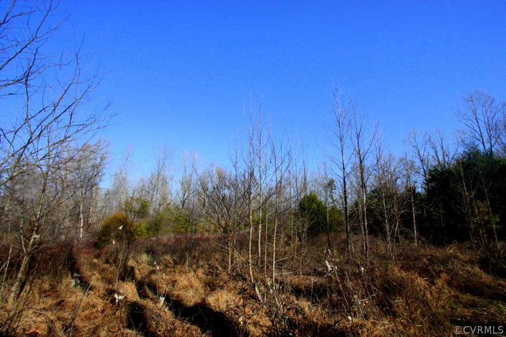 0 Rigsby Hollow Road Sandy Hook, VA 23153 - Photo 4 of 14 Gallery Image 4