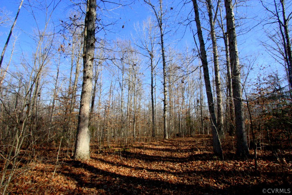 0 Rigsby Hollow Road Sandy Hook, VA 23153 - Photo 6 of 14 Gallery Image 6