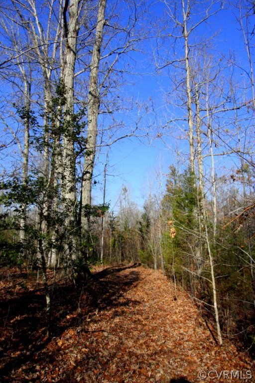 0 Rigsby Hollow Road Sandy Hook, VA 23153 - Photo 7 of 14 Gallery Image 7