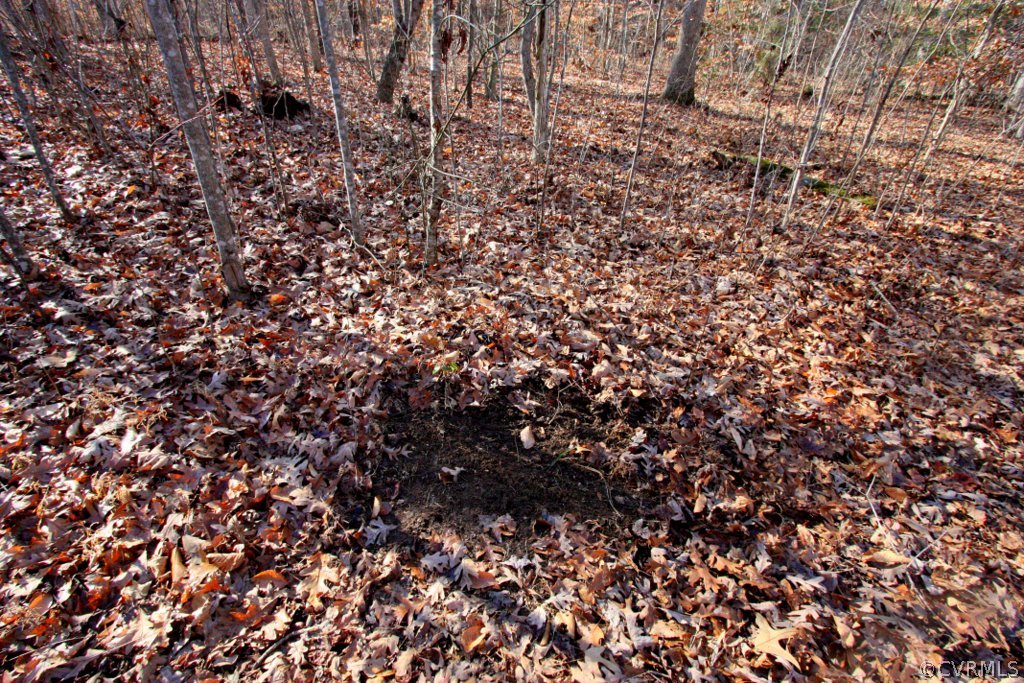 0 Rigsby Hollow Road Sandy Hook, VA 23153 - Photo 8 of 14 Gallery Image 8