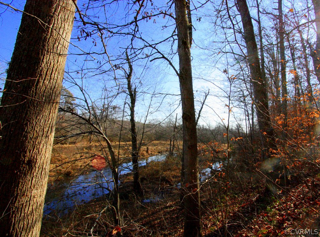 0 Rigsby Hollow Road Sandy Hook, VA 23153 - Photo 10 of 14 Gallery Image 10