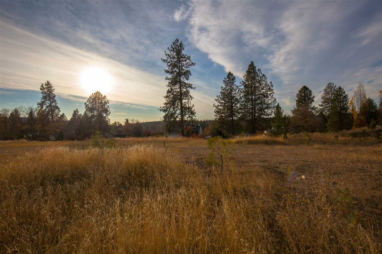 38114 North Sheets Road Elk, WA 99009 - Photo 11 of 18