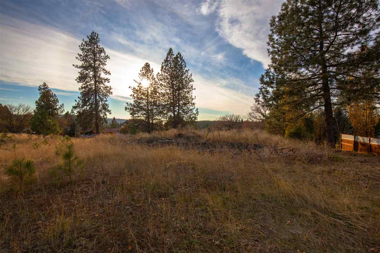 38114 North Sheets Road Elk, WA 99009 - Photo 13 of 18