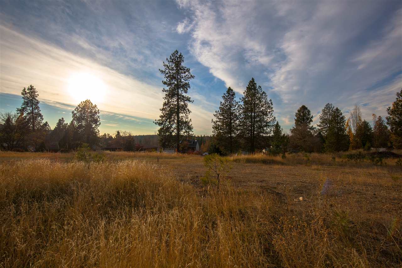 38114 North Sheets Road Elk, WA 99009 - Photo 9 of 18