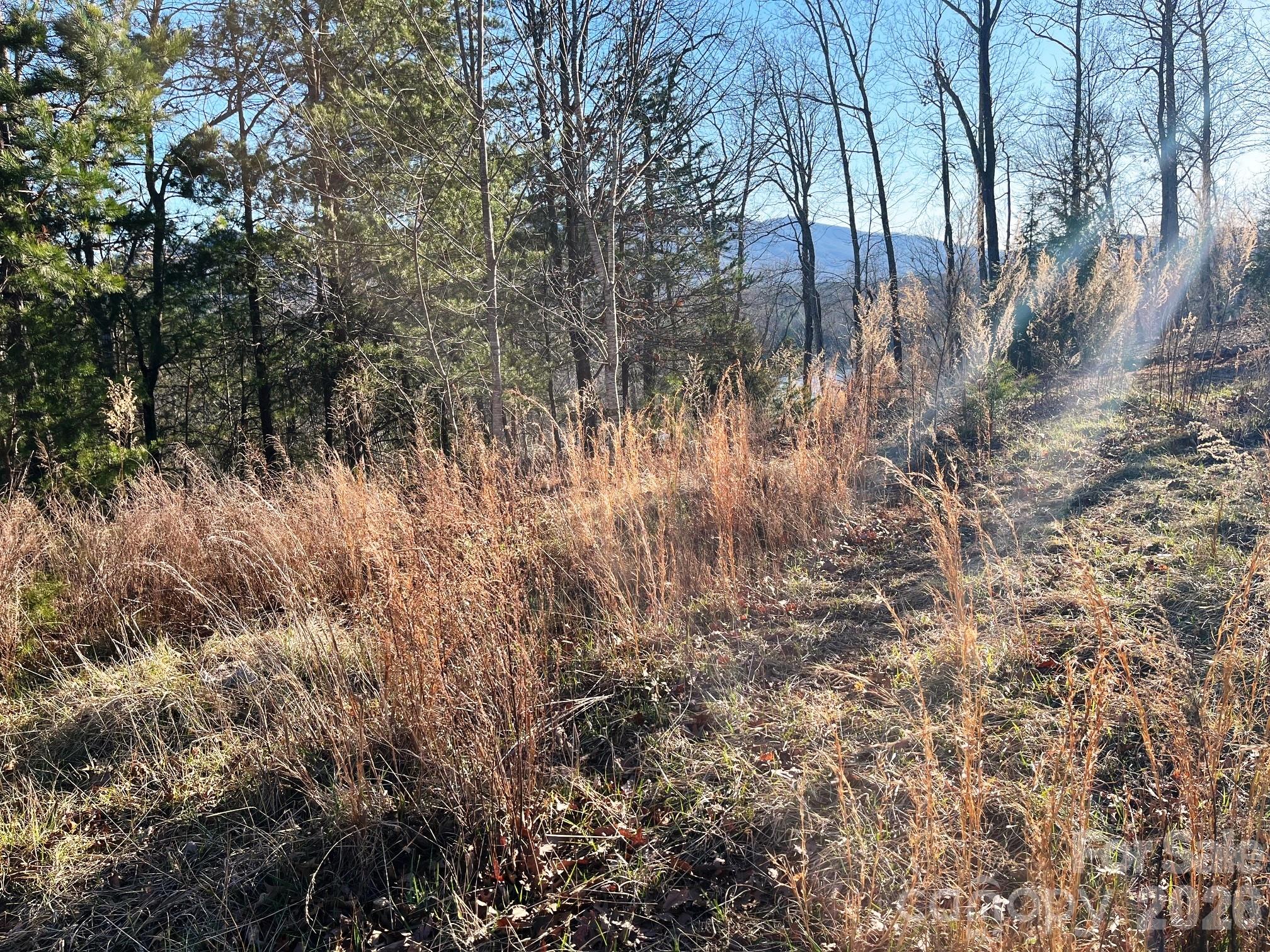 Lot 30 Mountain Pkwy Mill Spring Mill Spring, NC 28756 - Photo 5 of 14 a view of lake with a tree