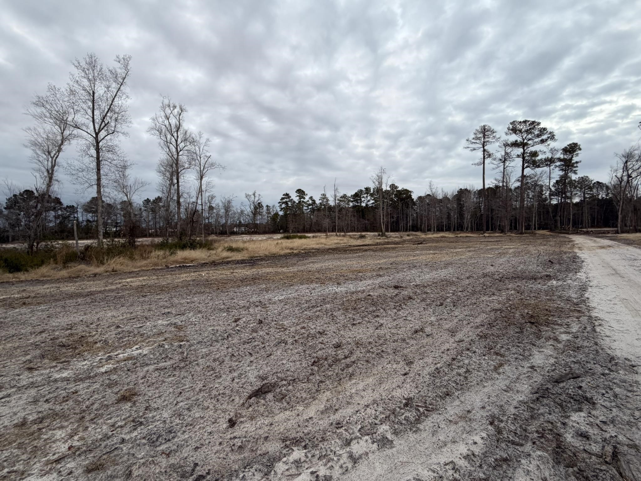 118 Nell Court Loris, SC 29569 - Photo 21 of 23 View of road with a view of rural / pastoral area