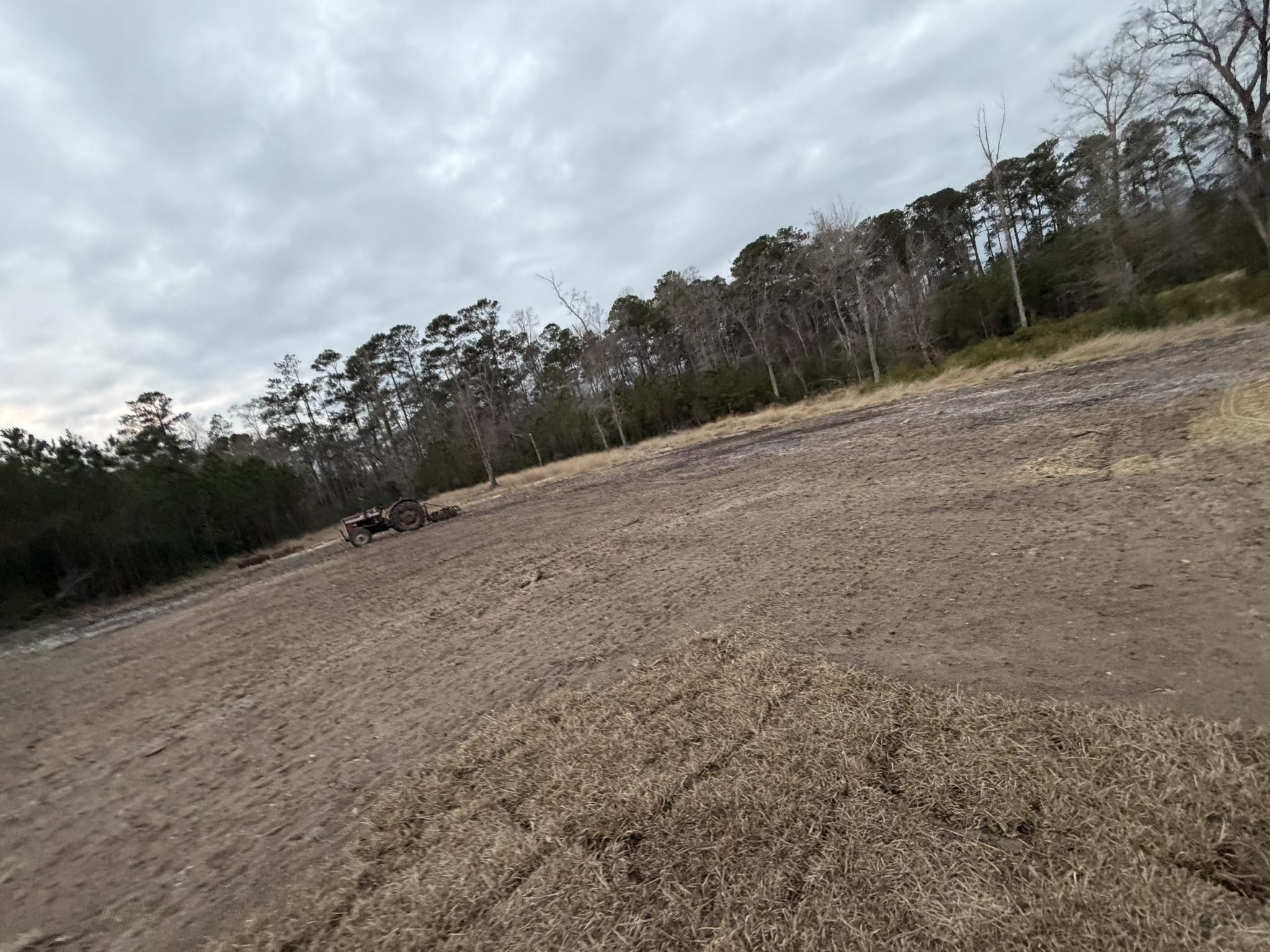 118 Nell Court Loris, SC 29569 - Photo 22 of 23 View of yard with a forest view