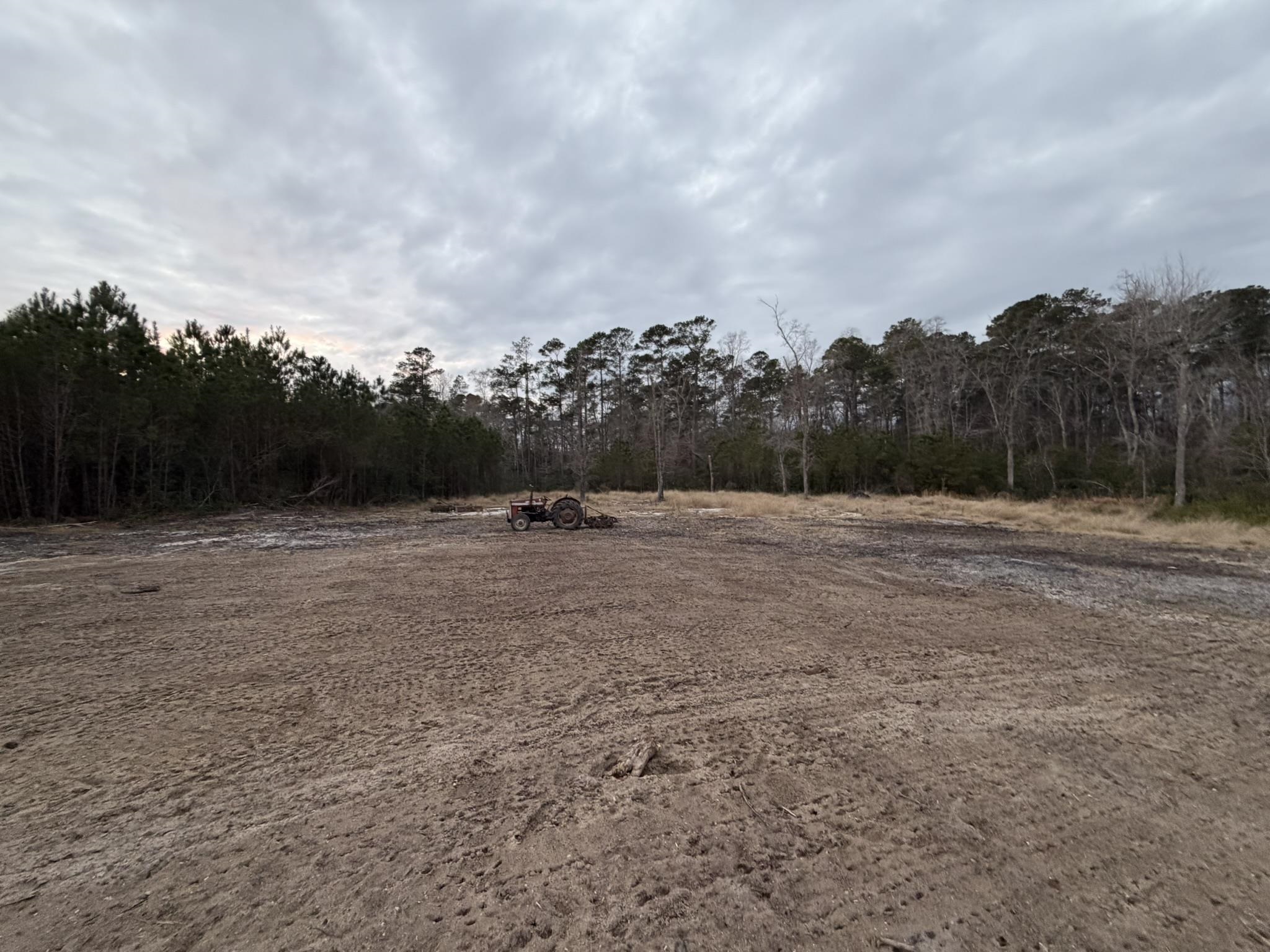 118 Nell Court Loris, SC 29569 - Photo 23 of 23 View of woods