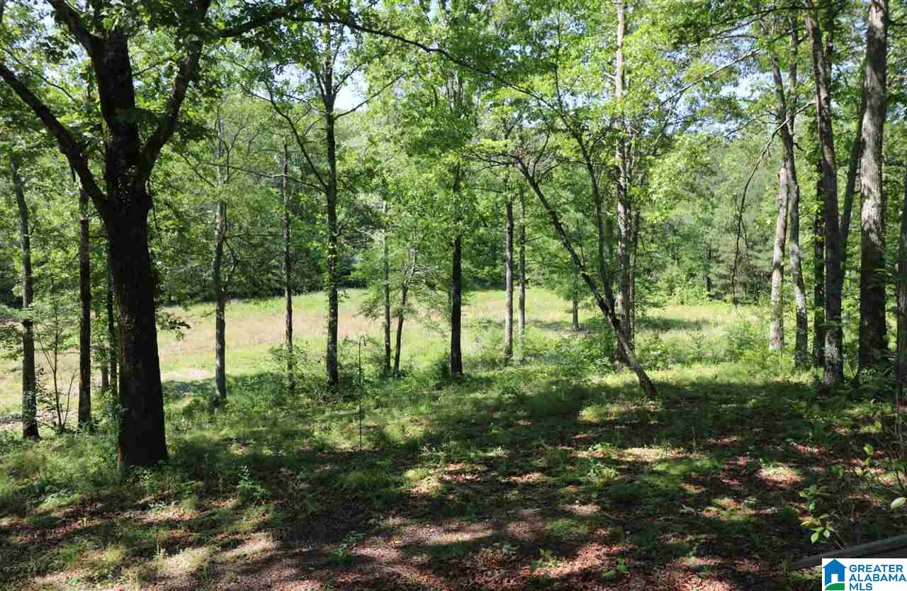 144 Rodeo Drive Pell City, AL 35128 - Photo 2 of 27