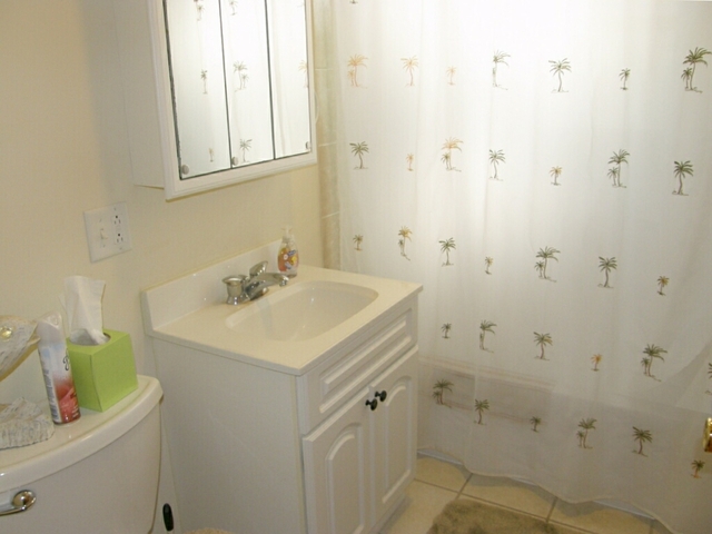 130 Bay Road Fox Lake, IL 60020 - Photo 20 of 21 a bathroom with a sink a vanity and a shower