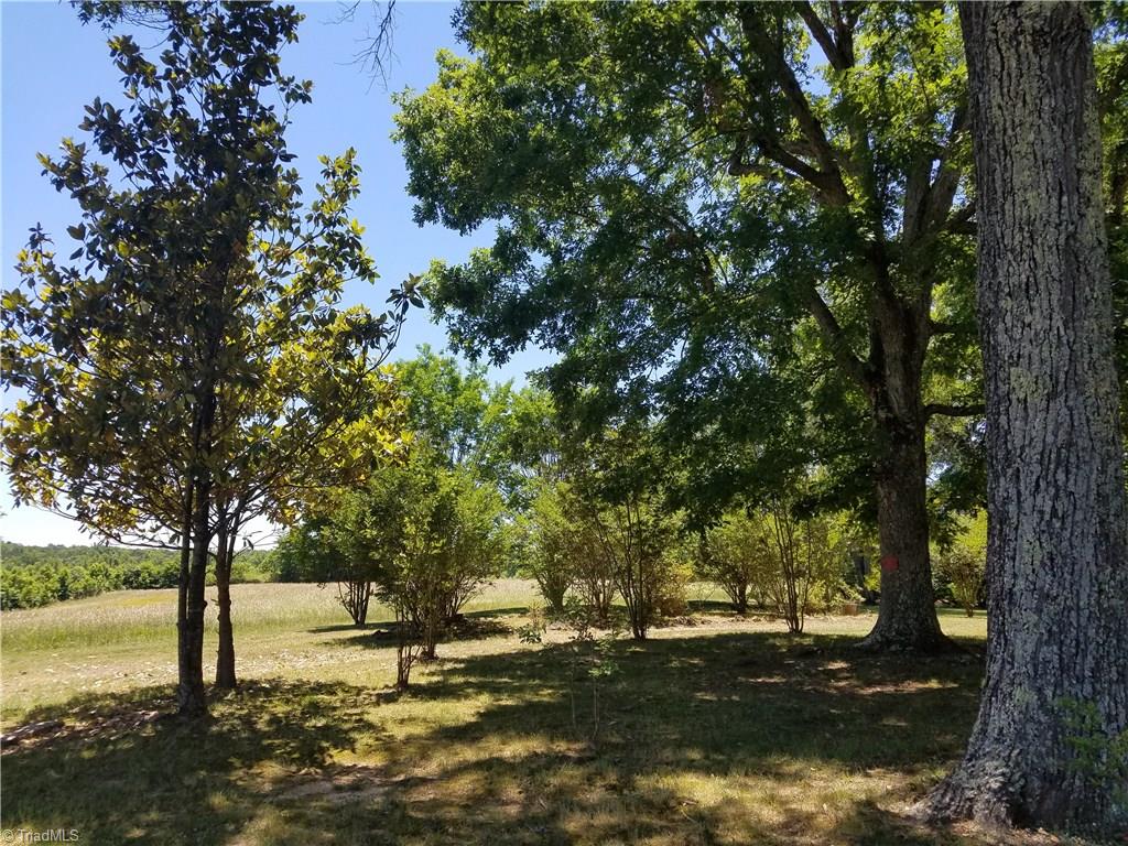 190 Richmond Road Ruffin, NC 27326 - Photo 2 of 18