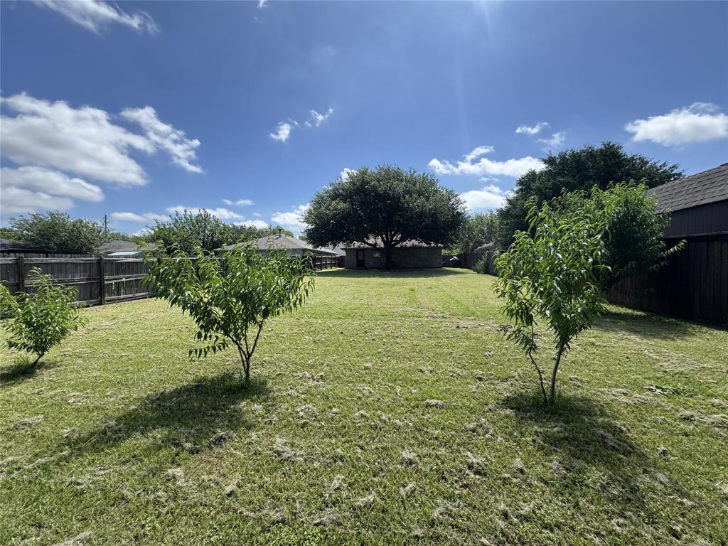 515 Haymarket Road Dallas, TX 75217 - Photo 13 of 15 Backyard