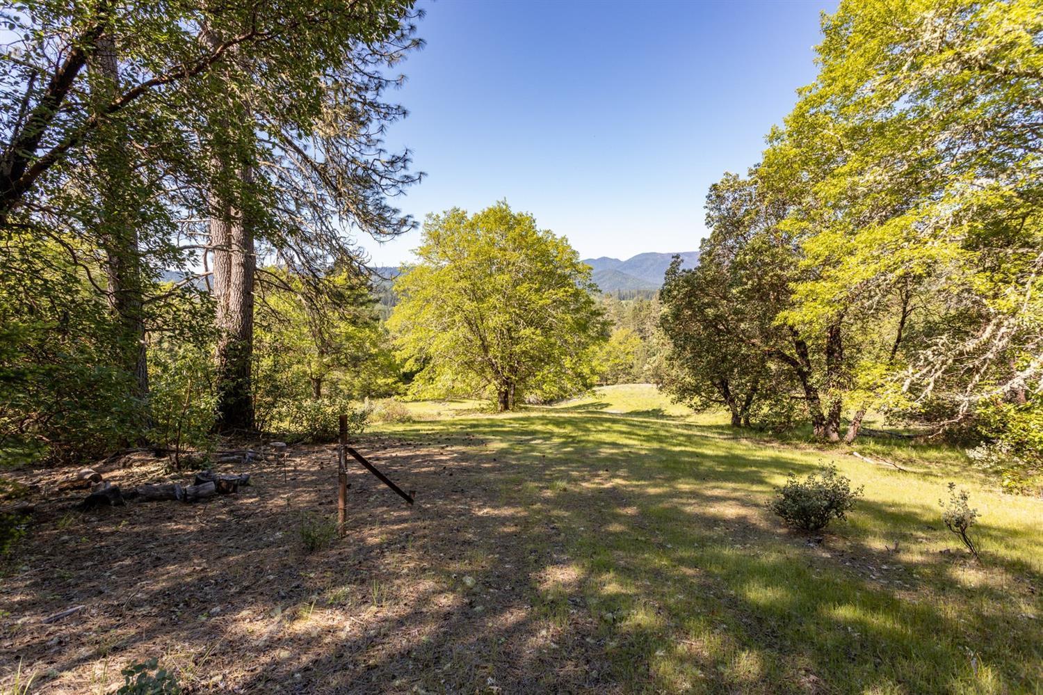 Tl100 Lower River Road Grants Pass, OR 97526 - Photo 20 of 35 a view of a yard with trees
