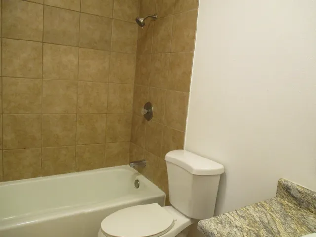 a bathroom with a toilet and a bathtub