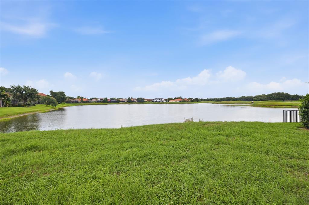 10341 Altrara Way Trinity, FL 34655 - Photo 25 of 29