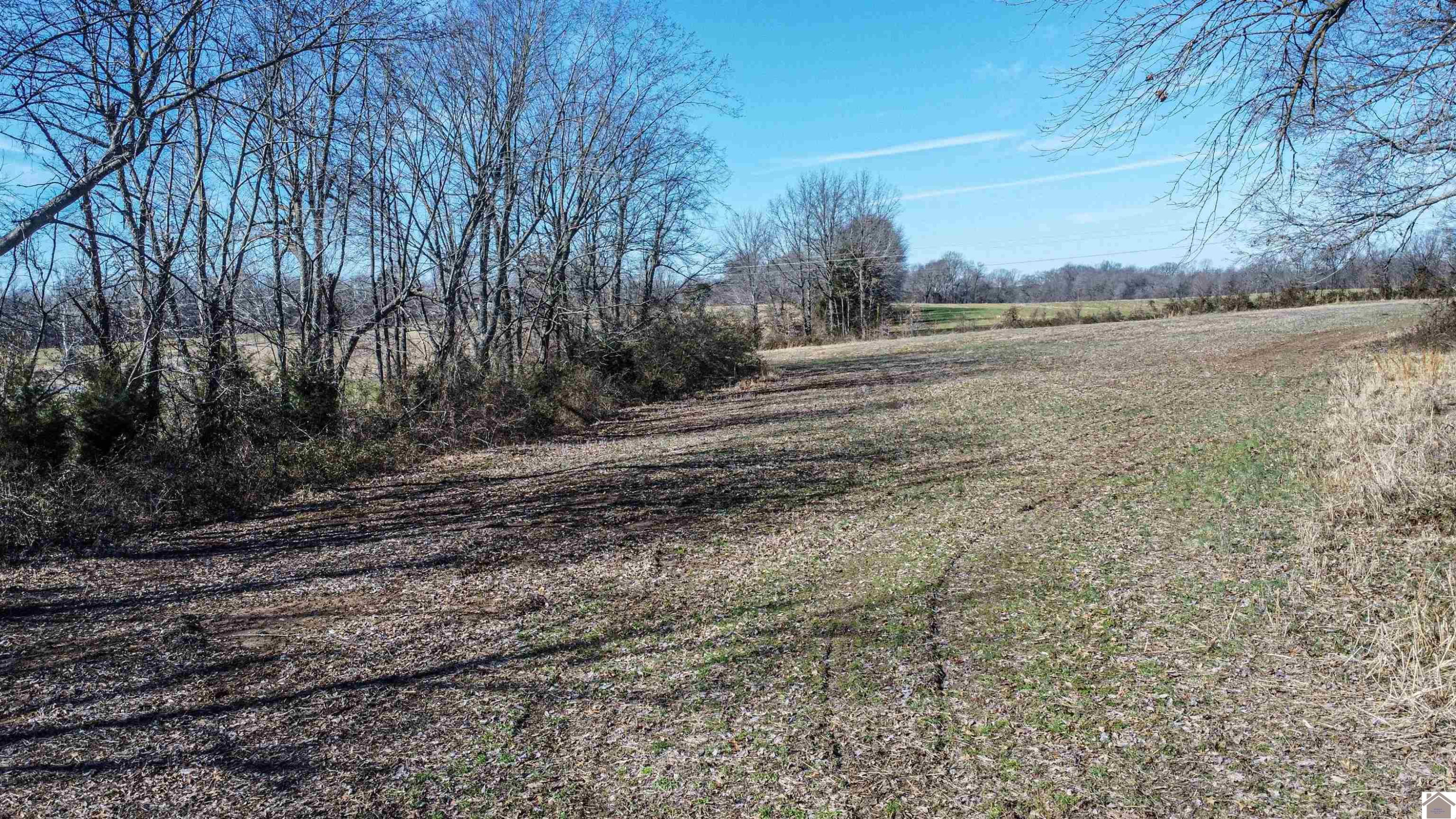 2370 McKendree Church Road Kevil, KY 42053 - Photo 13 of 15 Photo 13