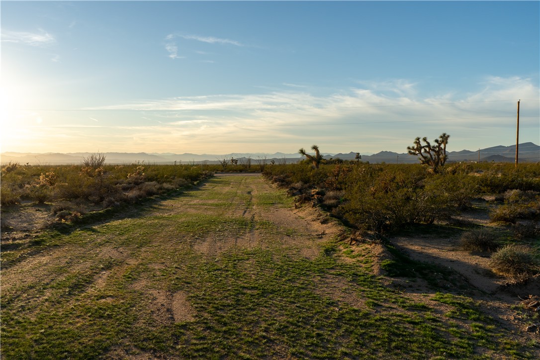 Lot 30 South Carmen Road Yucca, AZ 86438 - Photo 2 of 17 One of two graded driveways to lot