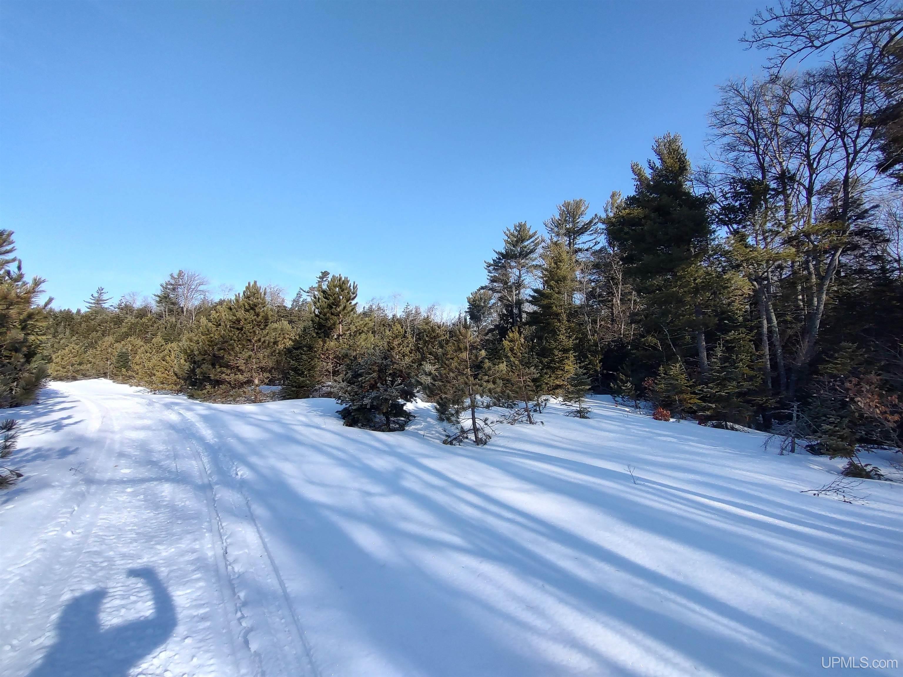 40-acres Gierke Road Manistique, MI 49854 - Photo 13 of 39