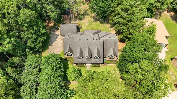 a view of a garden with large trees