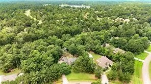 a view of a yard with plants