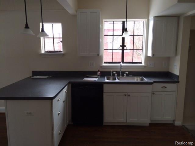 70 Amherst Road Pleasant Ridge, MI 48069 - Photo 6 of 10 image (12).jpg