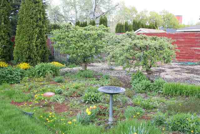 3010 North Stout Road Spokane, WA 99206 - Photo 9 of 9