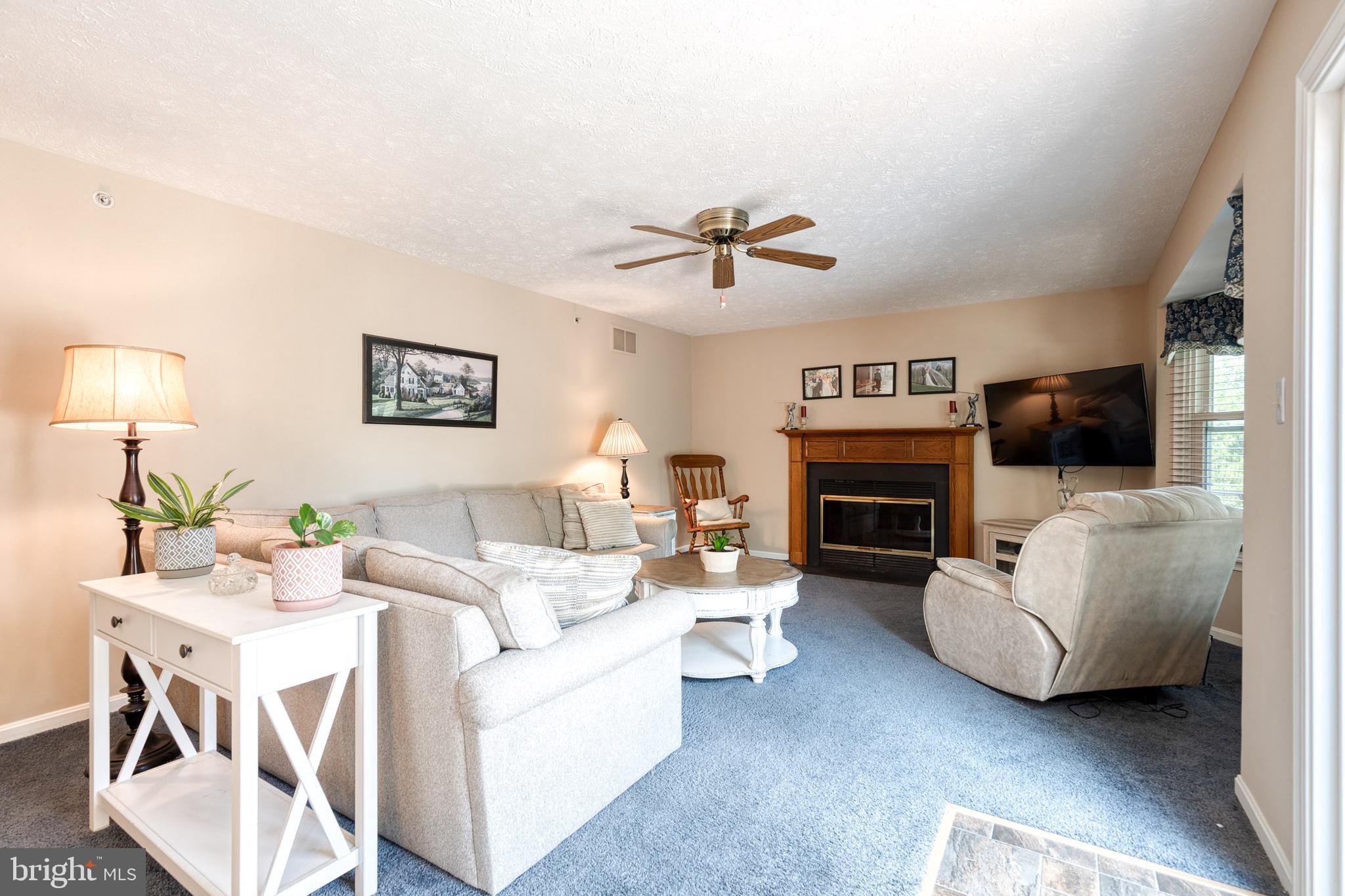 16 Perry Ridge Court Baltimore, MD 21237 - Photo 17 of 45 a living room with furniture a fireplace and a flat screen tv