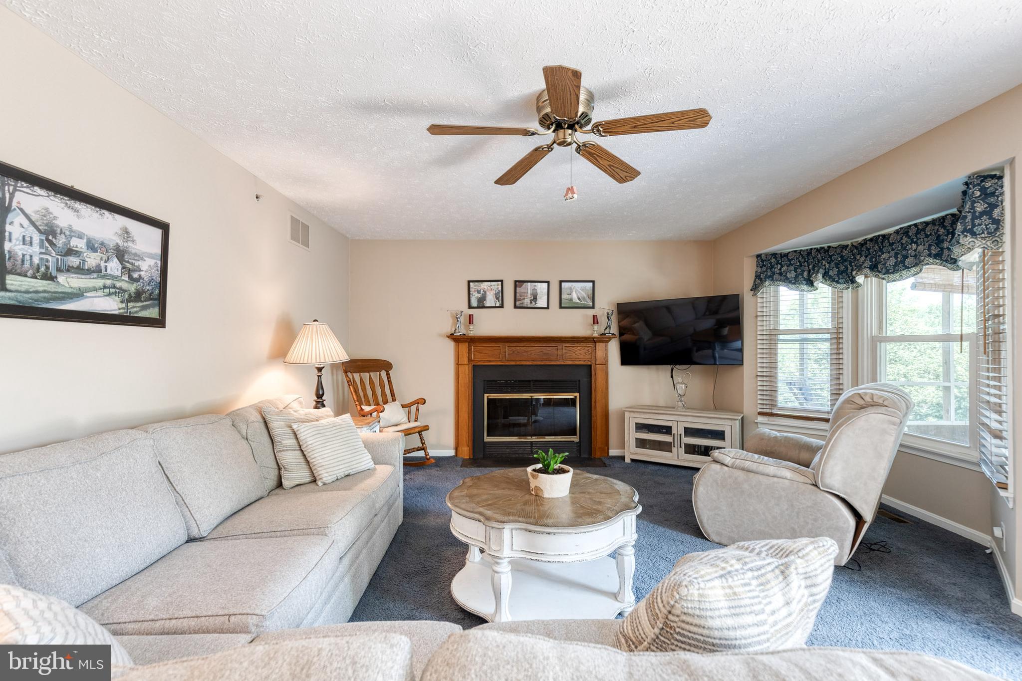 16 Perry Ridge Court Baltimore, MD 21237 - Photo 18 of 45 a living room with furniture a fireplace and a flat screen tv