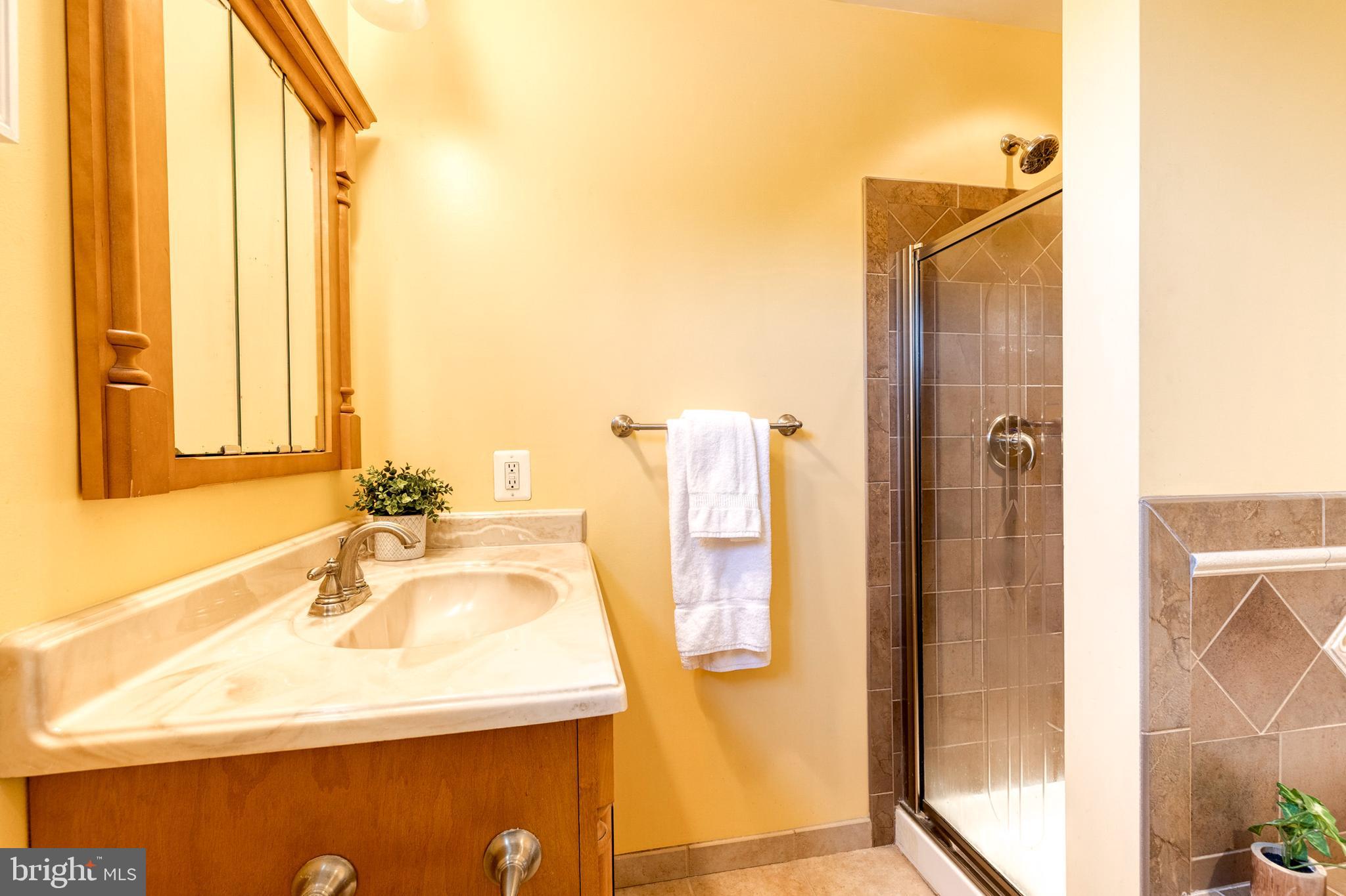 16 Perry Ridge Court Baltimore, MD 21237 - Photo 25 of 45 a bathroom with a sink and a mirror