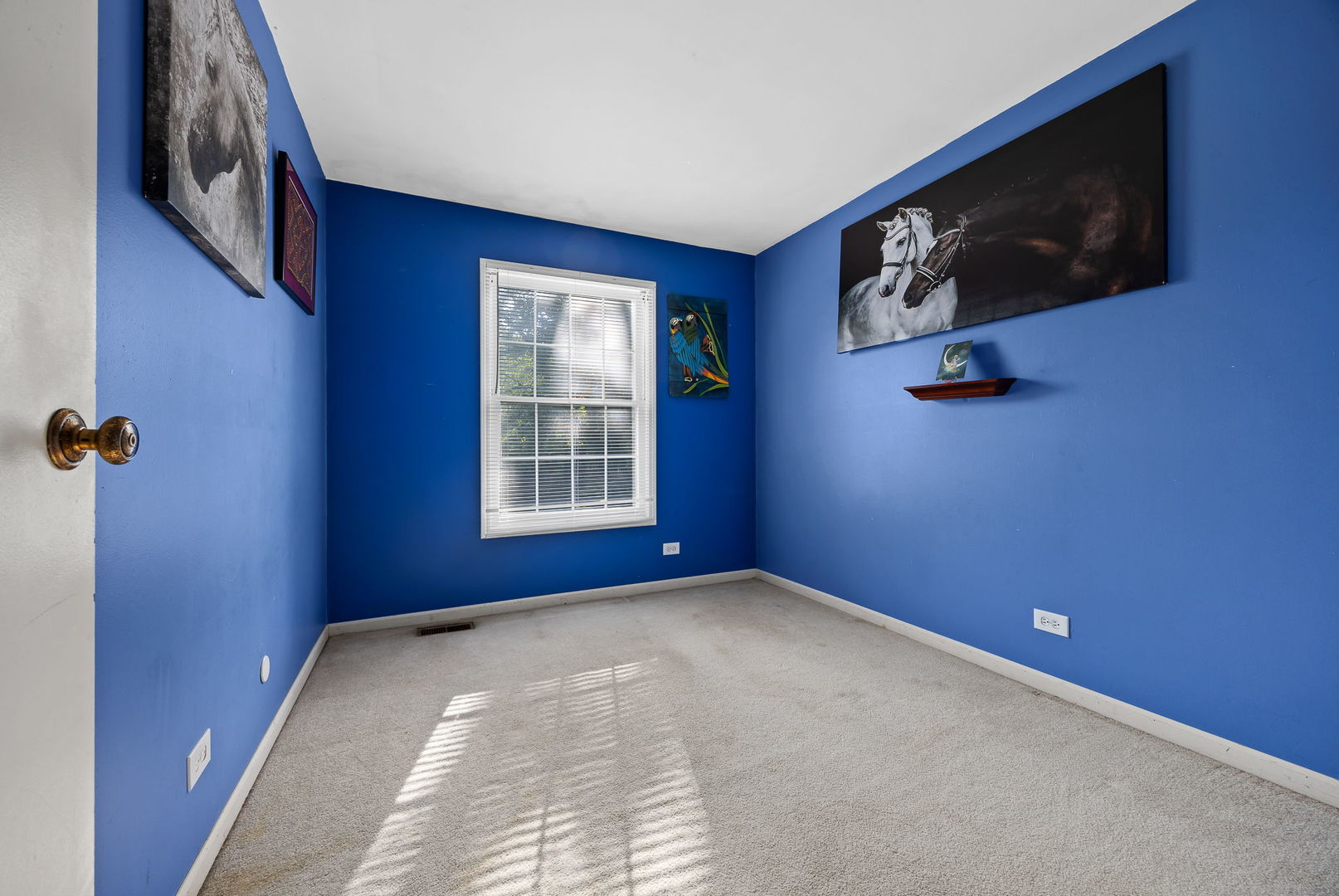 229 North Schmidt Road Bolingbrook, IL 60440 - Photo 22 of 31 Gallery Image 22