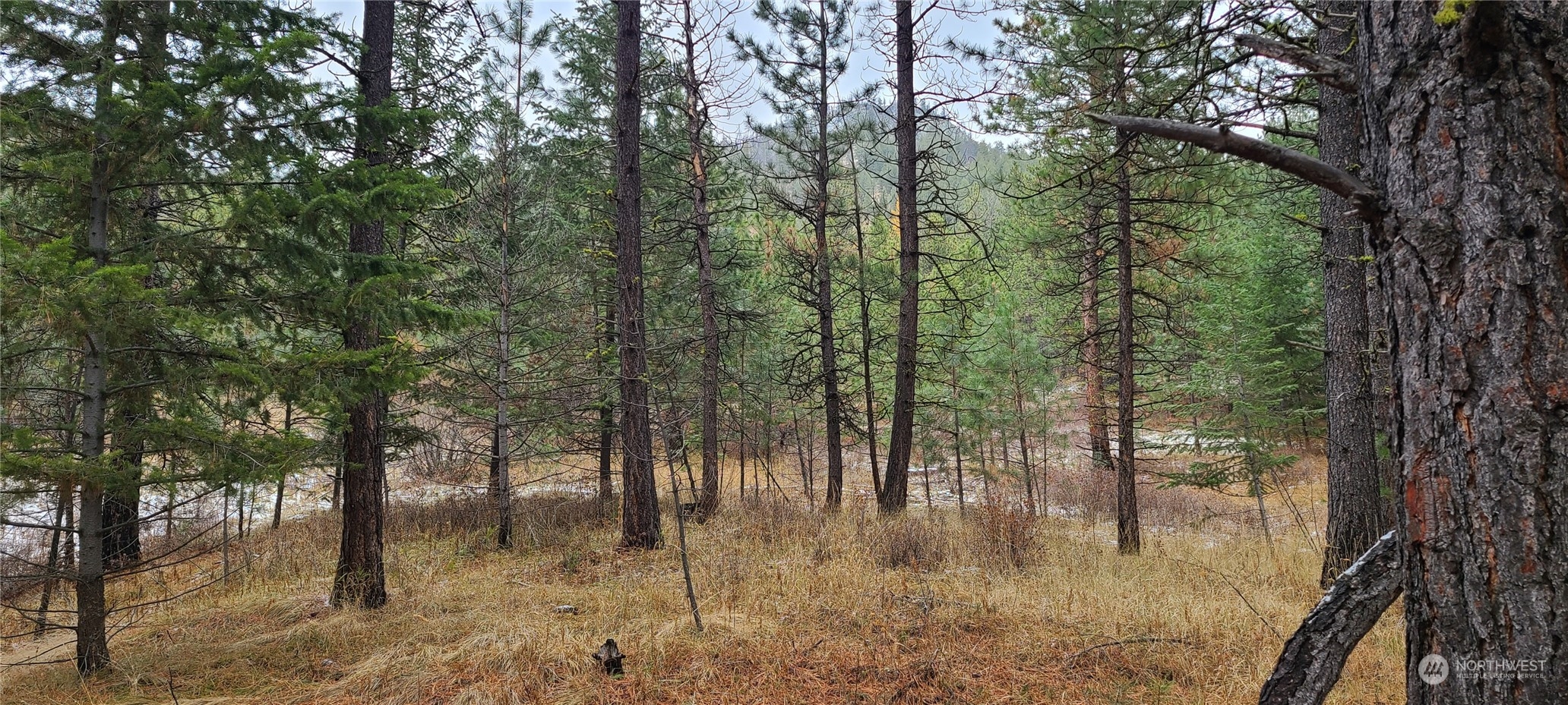 0 Tunk Creek Road Riverside, WA 98849 - Photo 8 of 14 Gallery Image 8