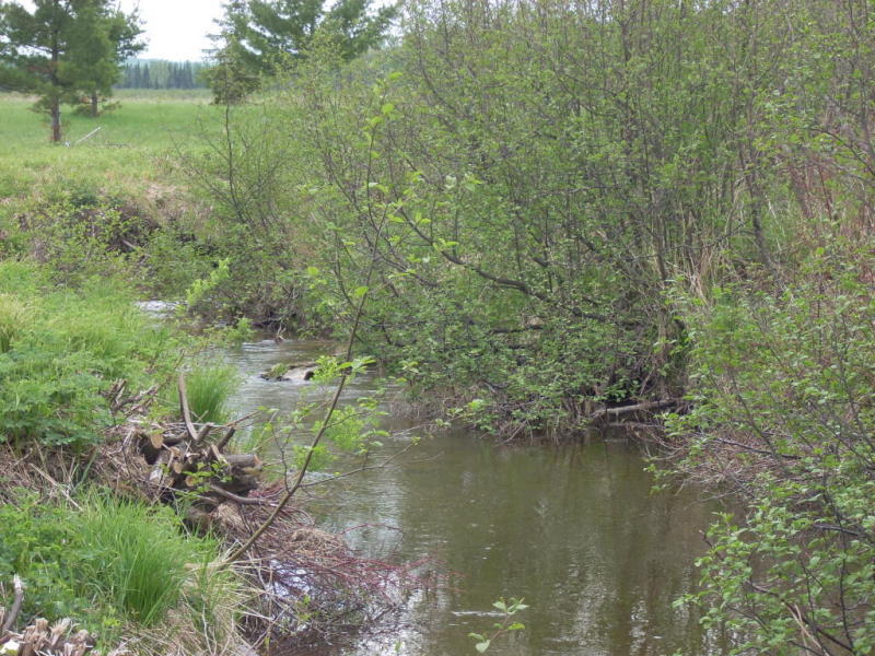 83 1 Mile Road Pickford, MI 49774 - Photo 8 of 15 Gallery Image 8
