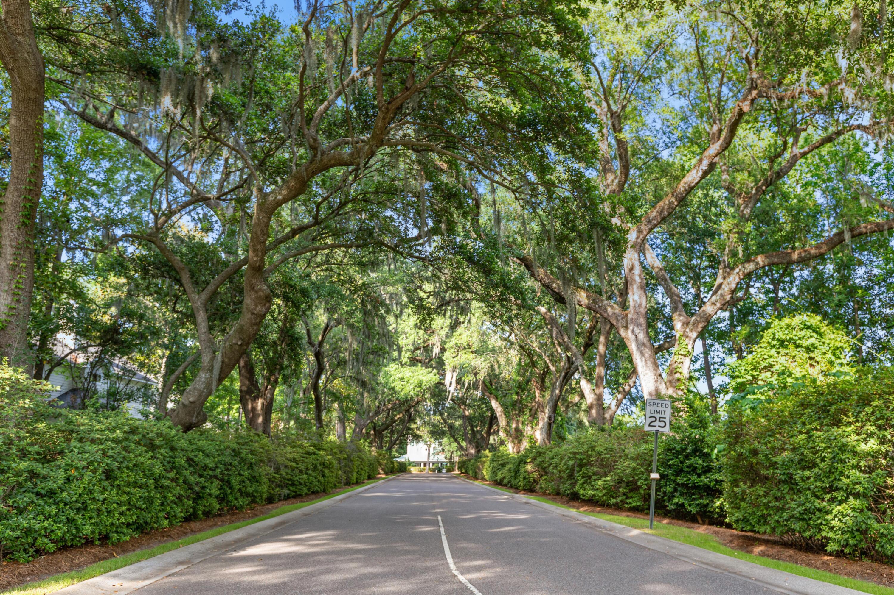 640 Fair Spring Drive Charleston, SC 29414 - Photo 32 of 32 coastalrephoto-640FairSpringDr-9254