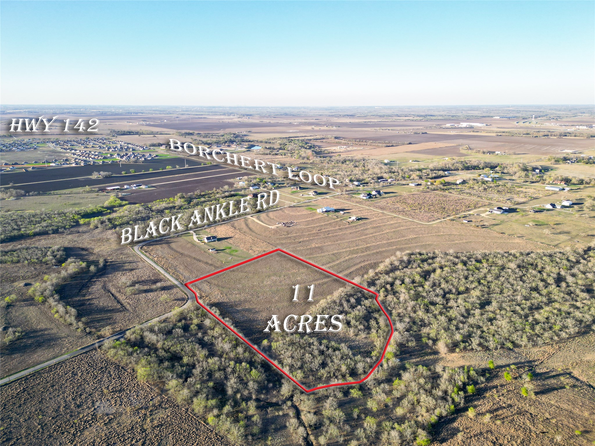 495 Black Ankle Road Lockhart, TX 78644 - Photo 2 of 7