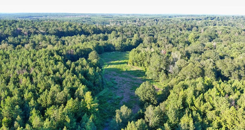 0 Pleasant Grove Road Southeast Monticello, MS 39654 - Photo 1 of 18 Main View