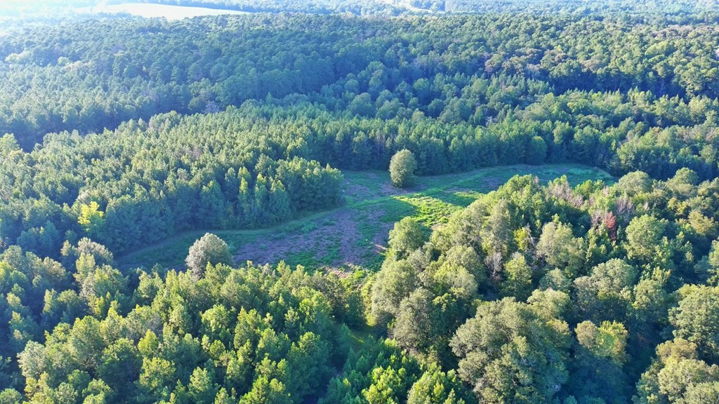 0 Pleasant Grove Road Southeast Monticello, MS 39654 - Photo 8 of 18 Photo 8